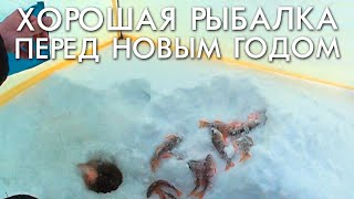 Зимняя рыбалка с братьями приходько