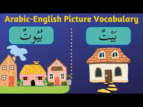 Irrational Plural Nouns | Madinah Book 1, Lessons 16-17 Review | Beginner Arabic Vocabulary