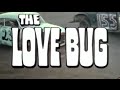 The Love Bug Disneycember