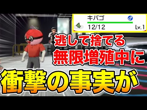 Descargar ポケモンソードシールド マスターボールをショップで無限に増やすウラ技を検証した結果 ポケモン剣盾 Descargar ポケモンソードシールド マスターボールをショップで無限に増やすウラ技を検証した結果 ポケモン剣盾
