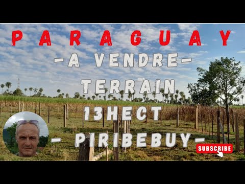 TERRAIN EN VENTE 13Hect - La Cordillera - PARAGUAY