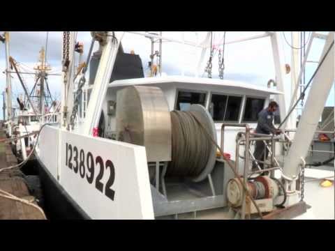 A Scallop Boat Tour - The Rost of Eastern Fisheries with Roy Enoksen