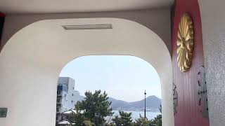 【下関市】赤間神宮の桜