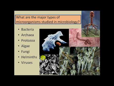 Chapter 1 - Part 1 - Introduction to Microbiology