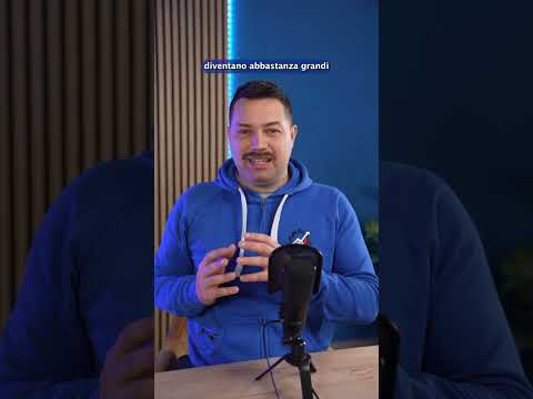 Perché il CARBURANTE delle AUTO NON GHIACCIA?