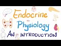 Endocrine Physiology | Introduction | Endocrinology Series