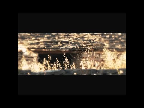 Video Placeholder
