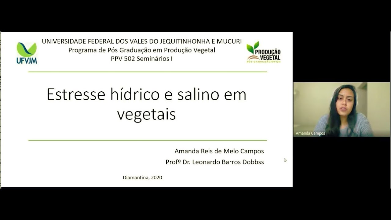 Estresse hídrico e salino em vegetais