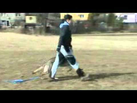 Cirby z Jukasu - obedience - 3/2011