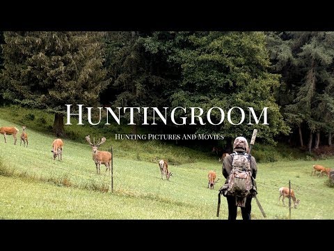 Jagd im Bayerischen Wald - #OCC 2018