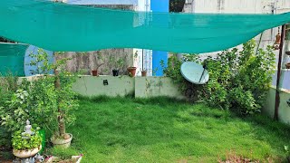 Setting up a lawn in my terrace garden 🌱