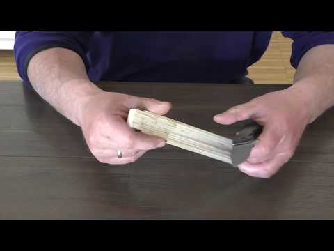 Real Steel E801 Megalodon Fossil (German/Deutsch)