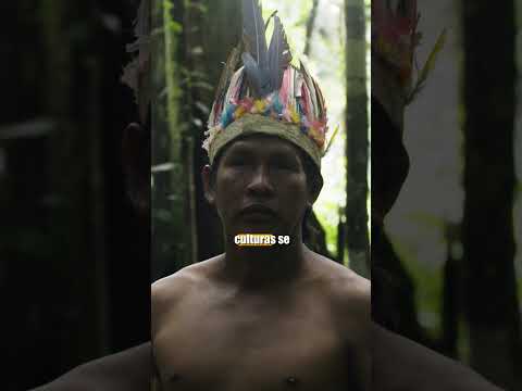 #LaFNDTeRecomienda viajar al Amazonas donde la biodiversidad y la ancestralidad laten al mismo ritmo