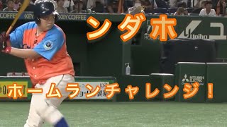 【努力 感動 汗と涙】ンダホのホームランチャレンジがカッコ良すぎた！！！！！
