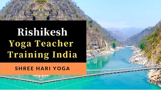 Best Yoga Teacher Training in Rishikesh |Yoga Teacher Training Reviews