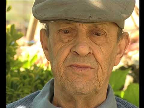 Los aucèls e las tindèlas