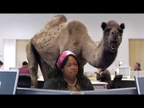 Geico Hump Day Bible Study Commercial