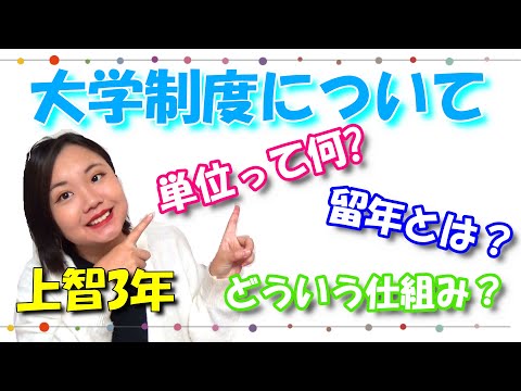 ポイント (単位)について詳しく解説