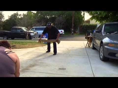 My soon to be protection dog at 3 months