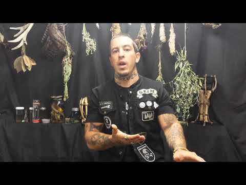 Operation Werewolf   Tribe Part 2