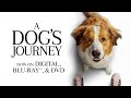 A Dog’s Journey | Trailer | Own it now on Blu-ray, DVD & Digital