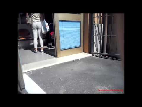 muscular street calves [253]