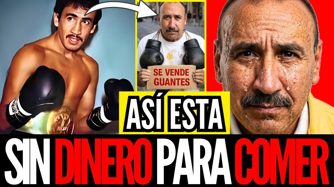 YouTube Thumbnail Downloader FULL HQ IMAGE