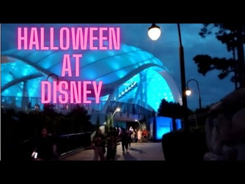 Thought I would hate Disney World.  Wrong.  I love it!