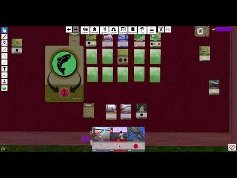 Tournament Fishing: Angler Turn Phases