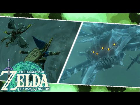 Wind Temple Boss Fight: Colgera - The Legend of Zelda: Tears of the Kingdom