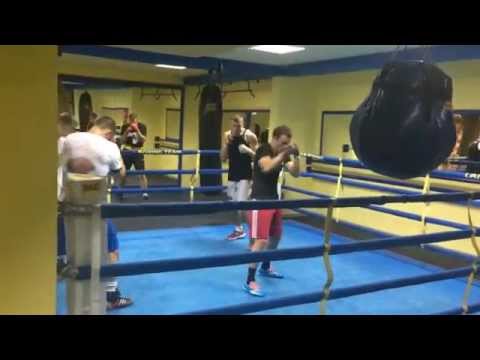 Pripreme boks tima Srbije za prvenstvo Evrope u Sofija.