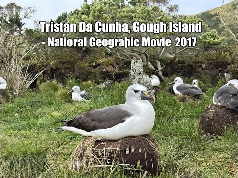 Tristan Da Cunha, Gough Island - National Geographic Movie 2017