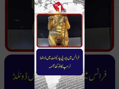 فرانس میں یورپی پارلیمنٹ میں ڈونلڈ ٹرمپ کا منفرد مجسمہ