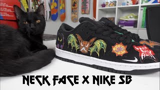 I Rescued a Black Cat While Reviewing These Shoes | Nike SB Dunk Low Pro QS Neck Face