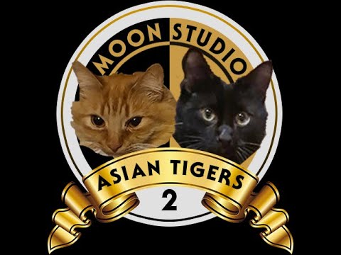 🔴 BÌNH LUẬN DOTA 2 | 496 GAMING vs MOTIVATE.TRUST GAMING | Moon Studio Asian Tigers 2 | SỦI