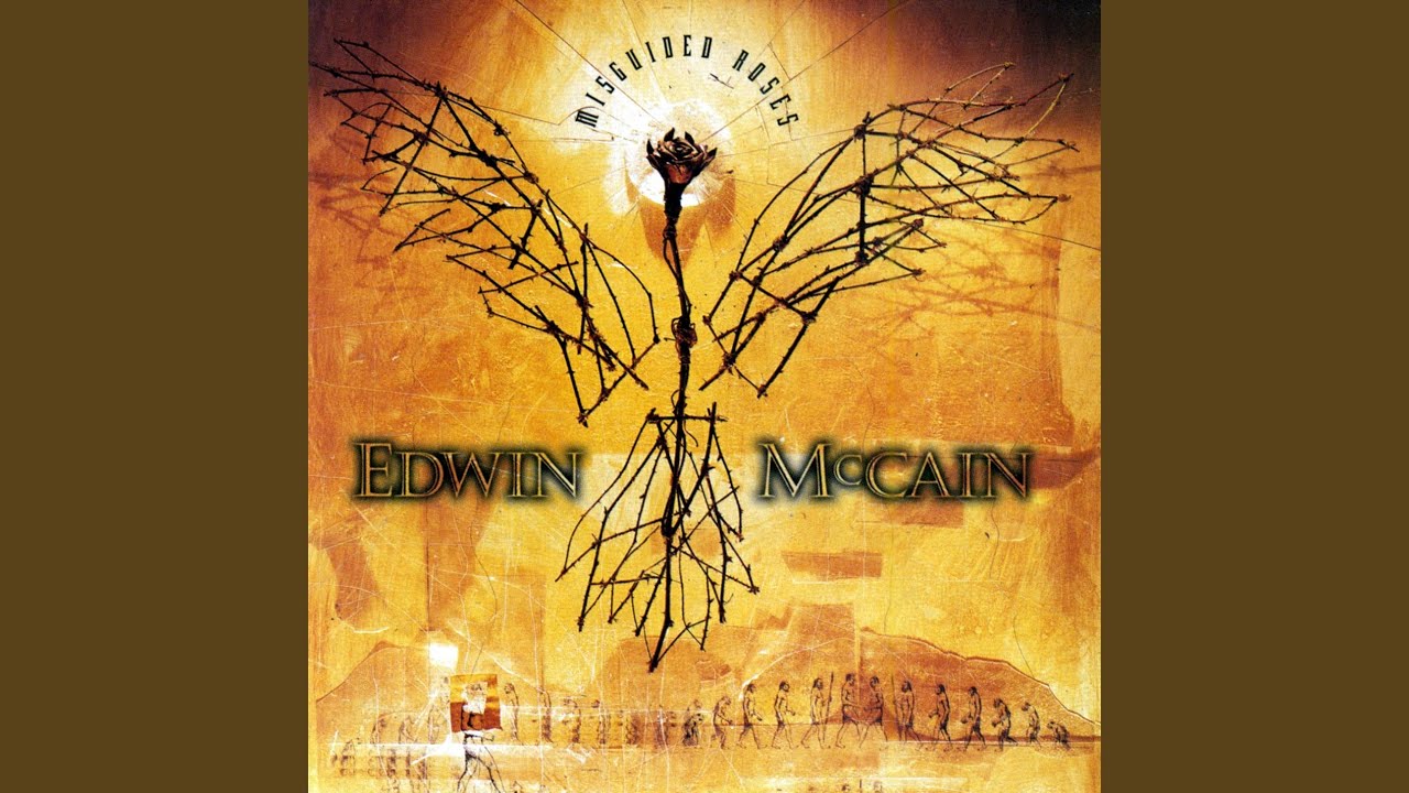 Edwin McCain - See the Sky Again