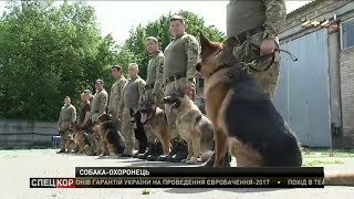 У президентській охороні виховують нове покоління вівчарок-бодігартів