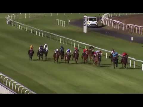 2019.09.20 Breeders' Trophy Juvenile (SWE) - Ascot Brass