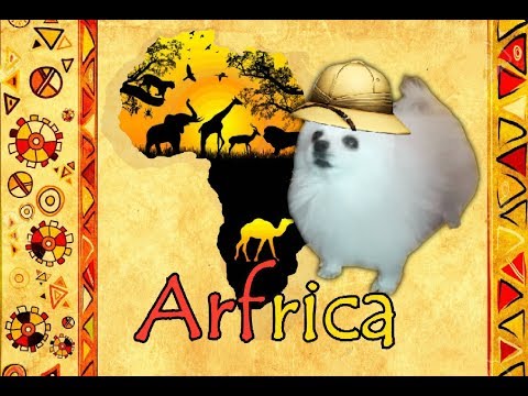 Arfrica (Toto)