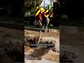 Antoniuskapel nog een keer verplaatst #Shorts - 29 september 2023 - Peel en Maas TV Venray