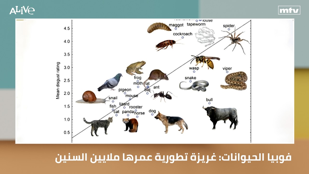فوبيا الحيوانات: غريزة تطورية عمرها ملايين السنين