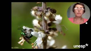 MOSTRA FOTOGRÁFICA - UNESP DE MARÍLIA - FABIANA VITTA