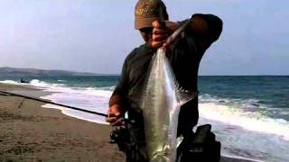 Loomis GL2 &amp; Shimano Waxwing Field Test part 2 - Italy 2011