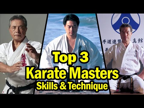 Top 3 Most Technical Masters of kyokushin Karate