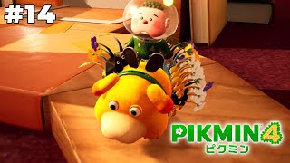 俺の相棒、眼孔ガン開きなんだが【ピクミン4】#14
