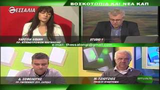 ΘΕΣΣΑΛΩΝ ΓΗ Β ΜΕΡΟΣ 1 12 2014