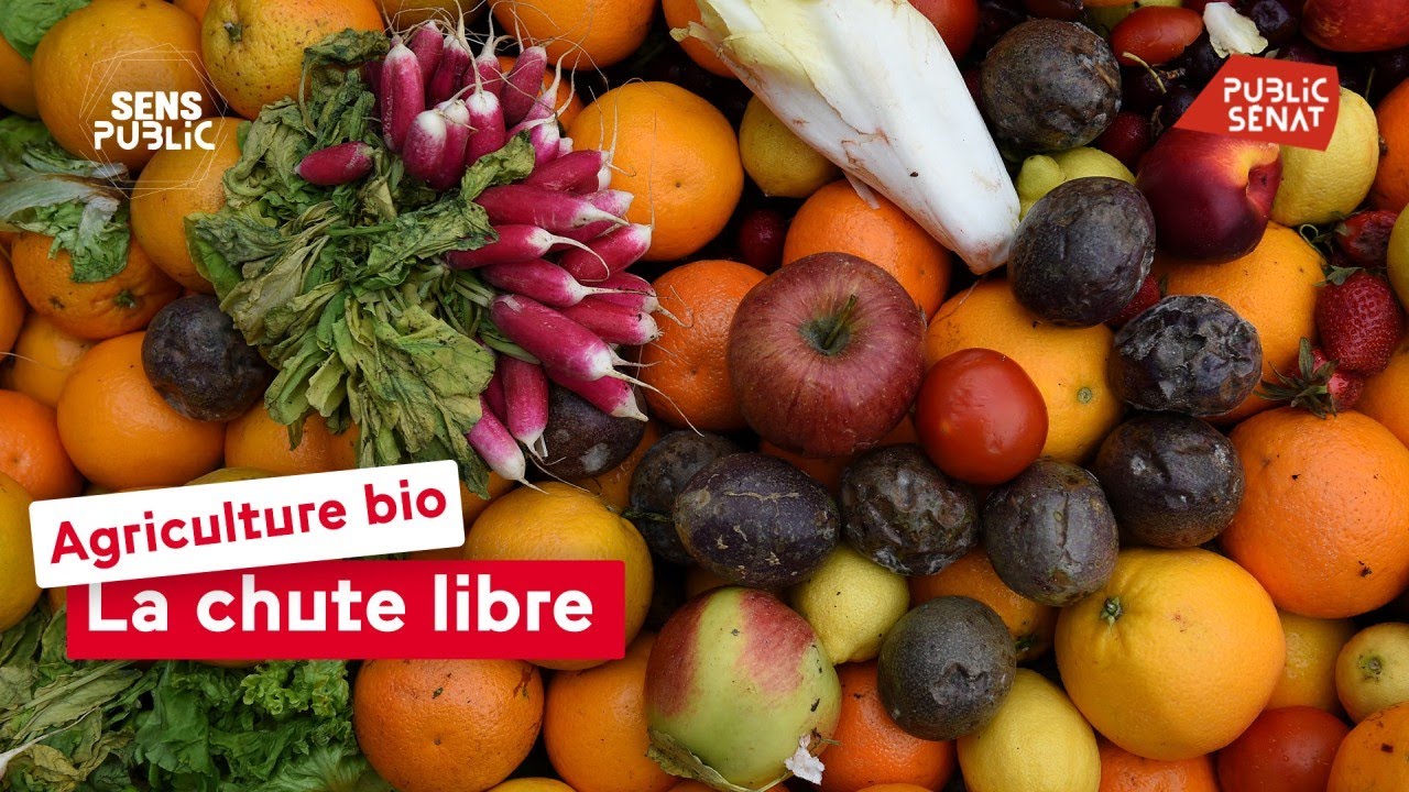 Agriculture bio : La chute libre