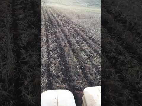 O sitio onde eu moro em campina do Simão Paraná