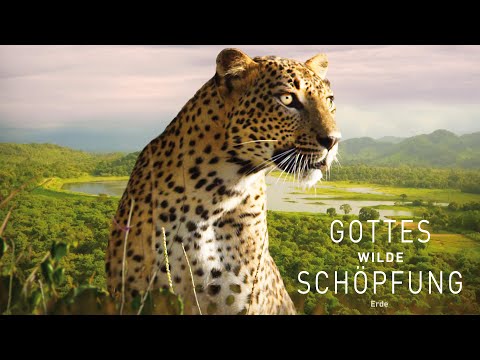 Gottes Wilde Schöpfung: Erde (2018) | Ganzer Film [Deutsch]
