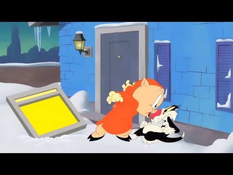 Looney Tunes Cartoons Season 3- “Window” featuring Sylvester and Porky Pig